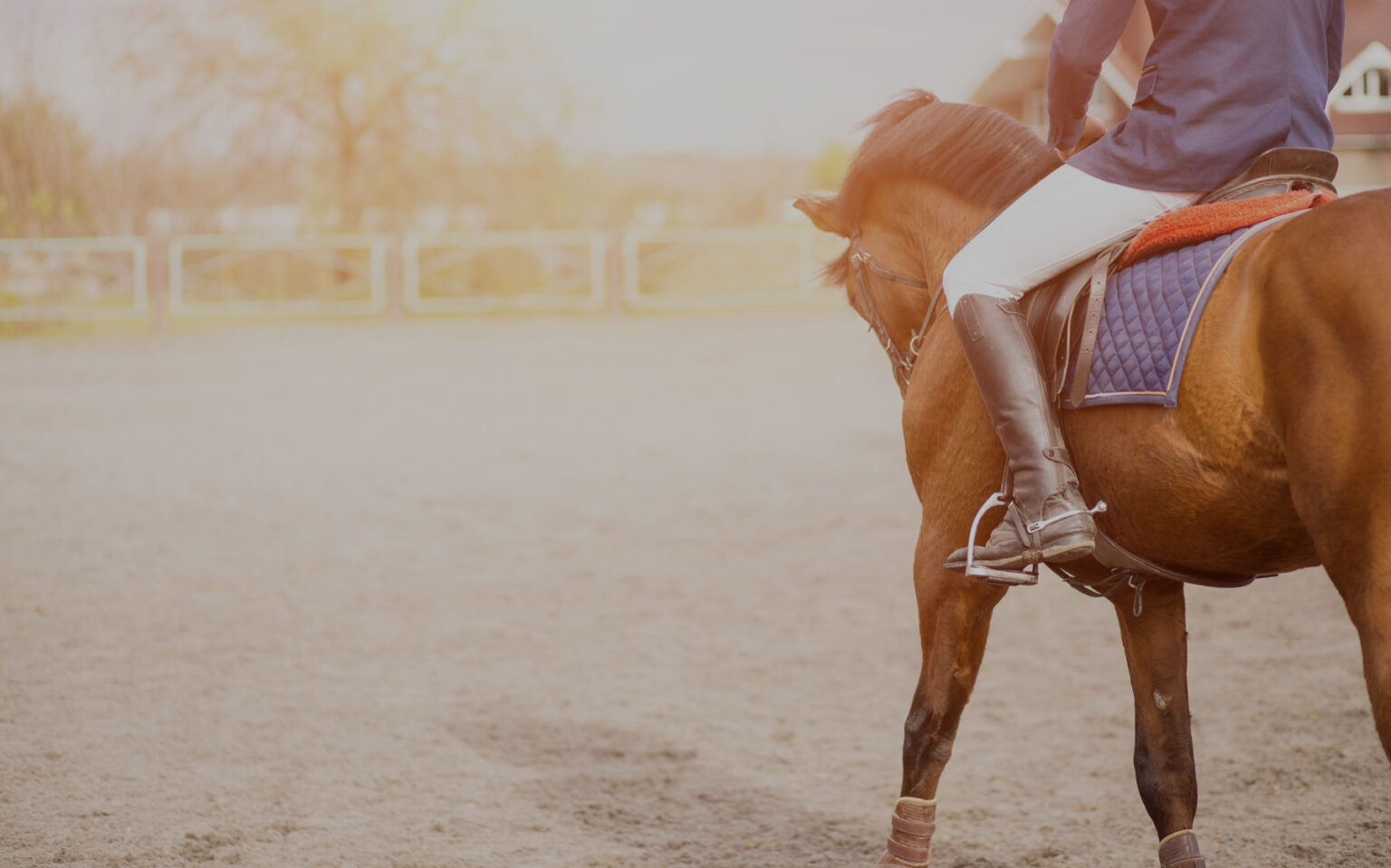 equestrian-sports-injury-insurance-properly-protected-ltd